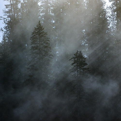 simplyphotos53